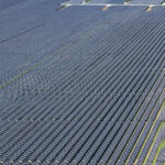 Solar Field